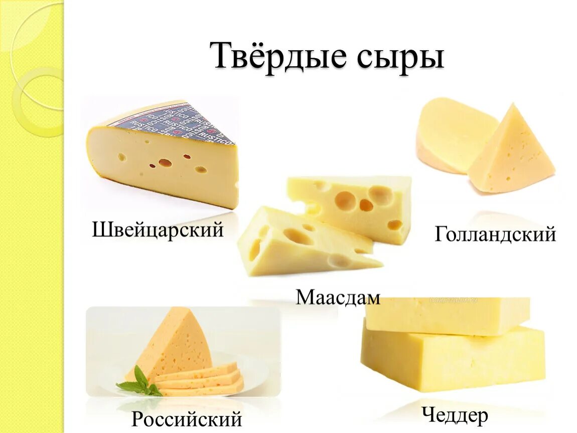 Производители хорошего сыра. Сыр твердых сортов название. Твердые сорта сыра. Твёрдый сыр название. Твёрдые сыры сорта.