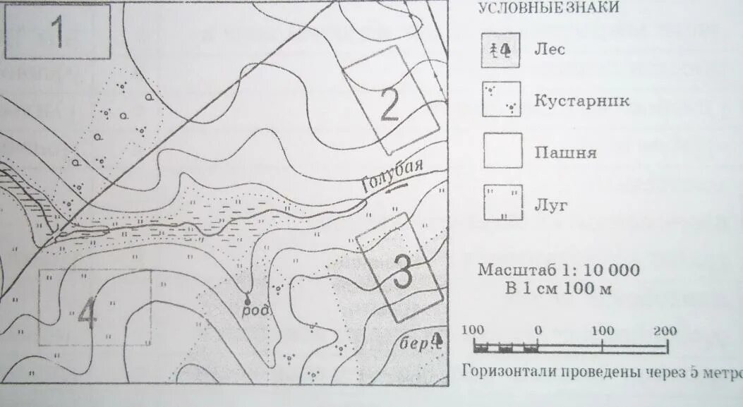 Условный знак лес. Условные обозначения леса. Условные обозначения лесных карт. Карта с лесом условными знаками. Обозначения леса на карт