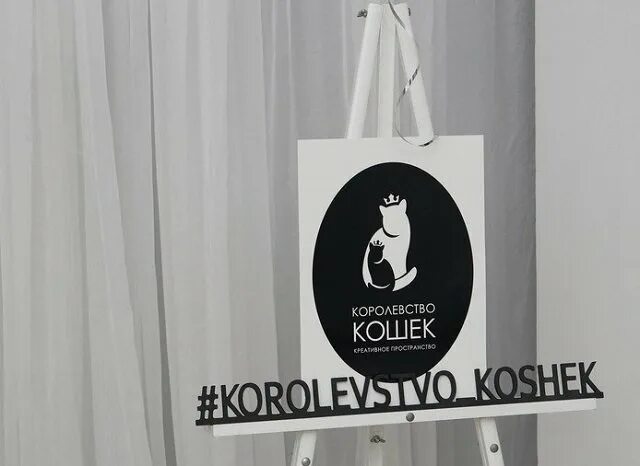 Песни королевство кошек. Королевство кошек песня. Песни королевство кошек. Королевство кошек. Королевство кошек текст.