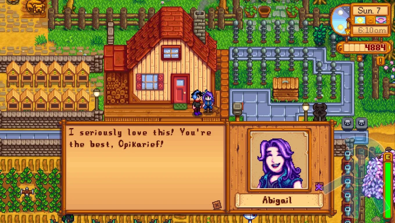 Stardew valley как сделать. Stardew valley jas свадьба. stardew valley эбби. концерт в зузу stardew valley. аметист stardew valley.