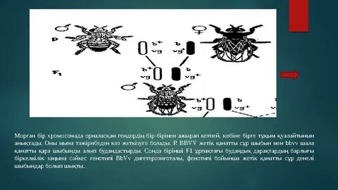 Титjobs бар порно