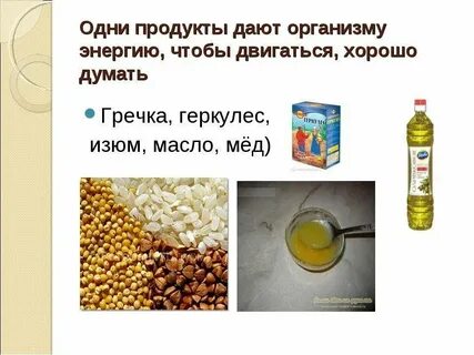 Продукция организмов