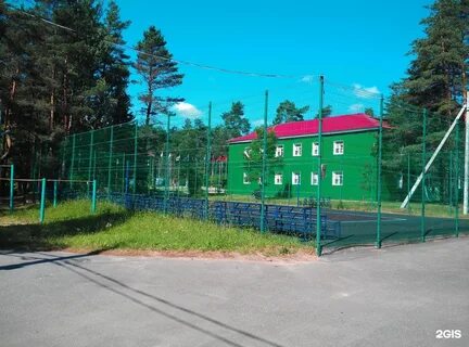 Лагерь дружный ленинградская область
