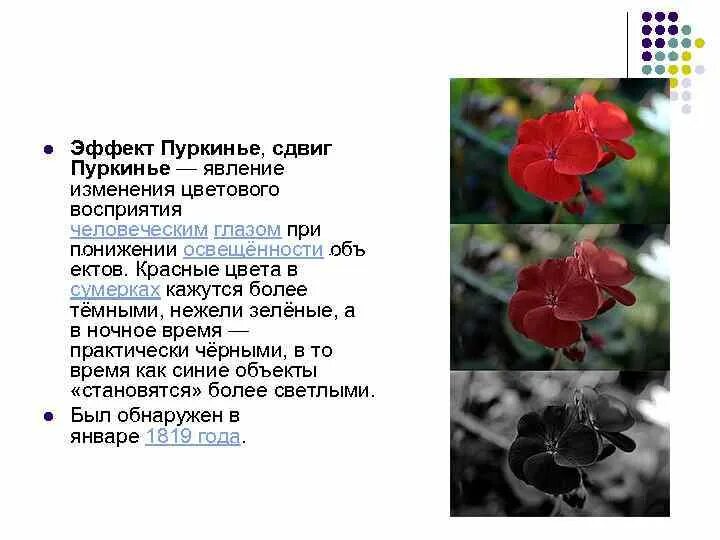 Изображения пуркинье. Феномен пуркинье. Изображения пуркинье. Purkinje images. Эффект пуркинье.