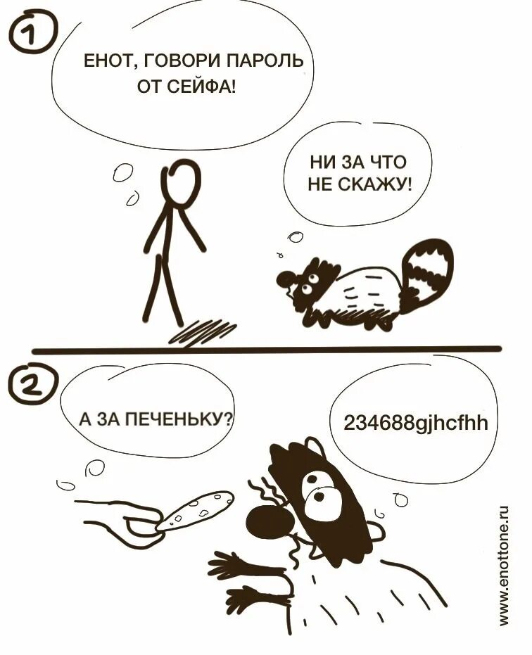 Как говорят еноты. Как разговаривают еноты. енот говорит. енот и печенька.