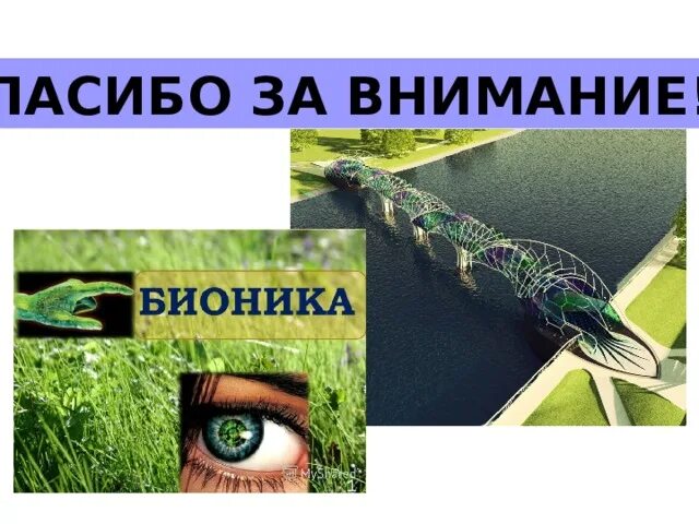 Бионика уфа. Спасибо за внимание Бионика. Бионика в дизайне презентация. Спасибо за внимание для презентации Бионика. Бионика станция.