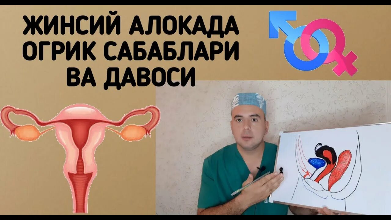 Aloqa nima