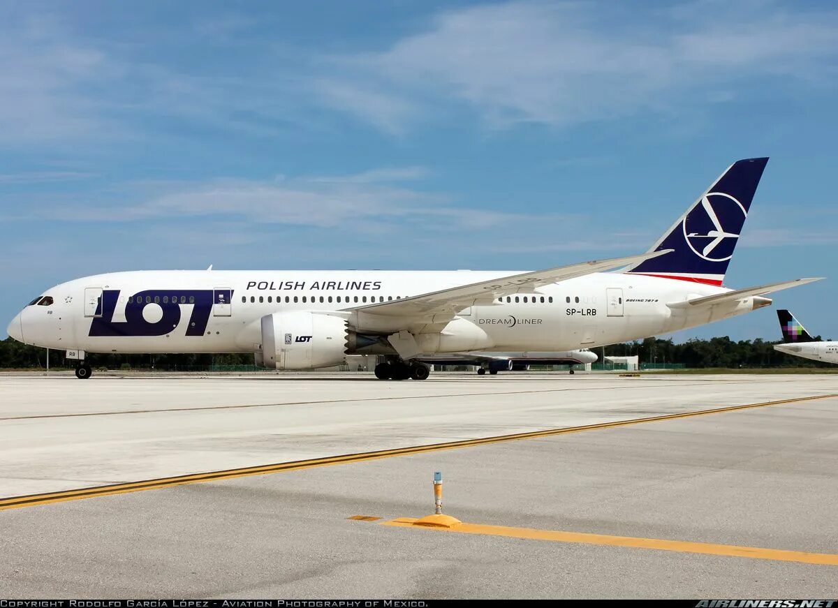 Лот полиш Эйрлайнс. Польская авиакомпания lot. Lot 787-8. Boeing 787-8 lot Polish Airlines. Lot polish