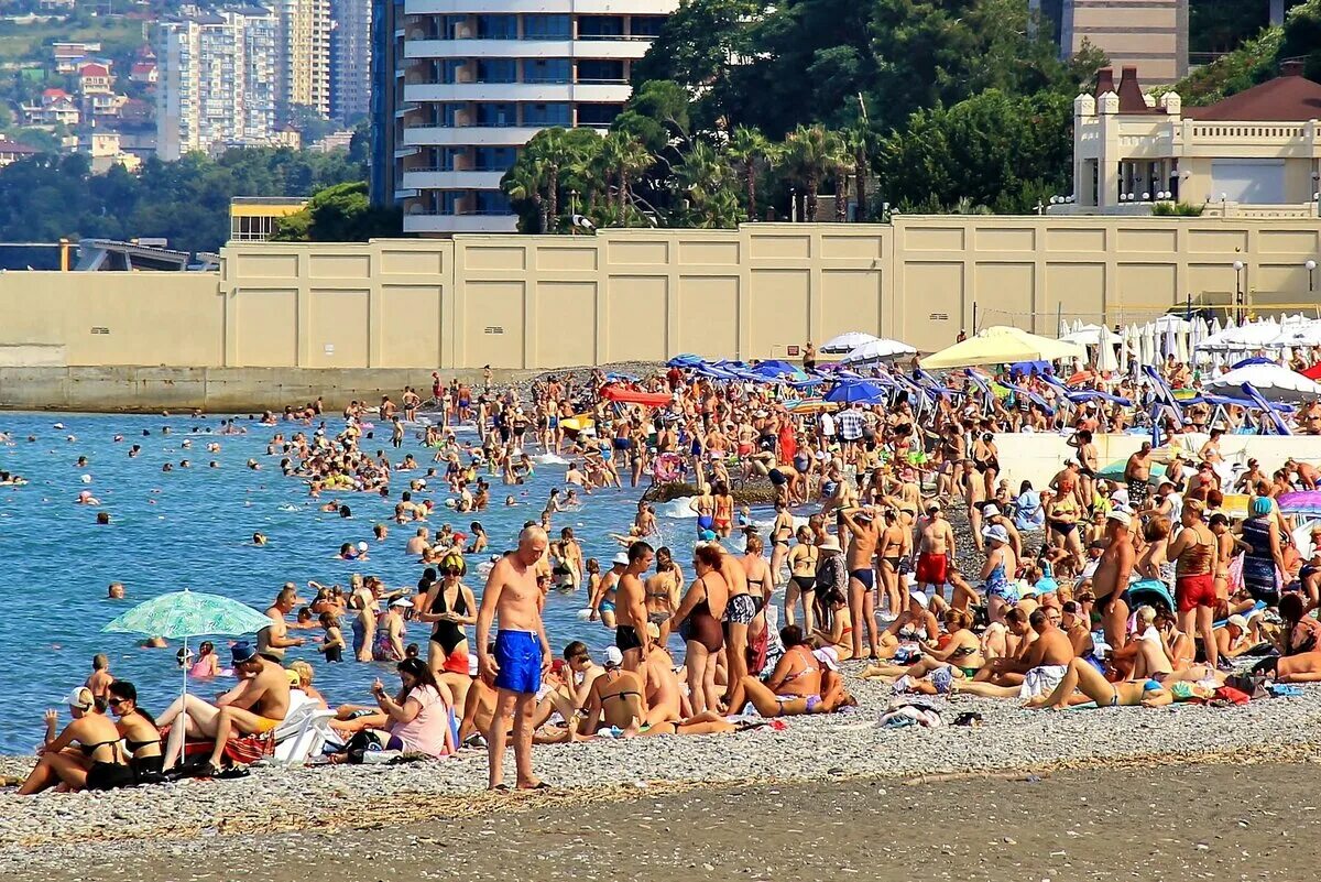 Можно в сочи в июне. Население Сочи на 2022. Население Сочи население Сочи население Сочи. Сочи Адлер население. Сочи пляж.
