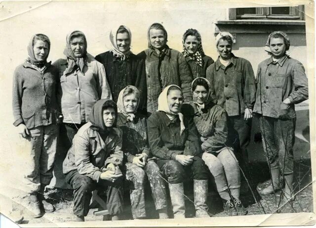 архивные фото шелехов 5 школа. стройка века. герои мирного труда. орловских комсомольцев шелехов. орловских комсомольцев шелехов.