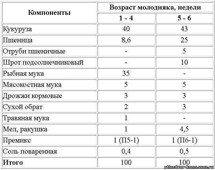 Муку можно курам. Комбикорм для бройлеров состав таблица. Схема кормления бройлеров комбикормами. Рецептура комбикормов для бройлеров. Рецепт комбикорма для цыплят несушек своими руками.