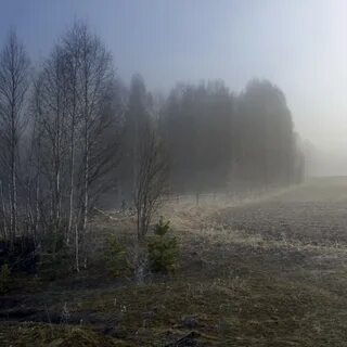 Погода в туманове