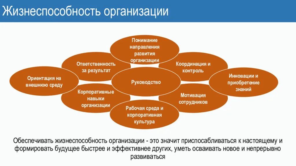 Направление организационного развития. Жизнеспособность примеры. Анализ жизнеспособности проекта. Корпоративная культура HR процессы. Жизнеспособность страны схема.