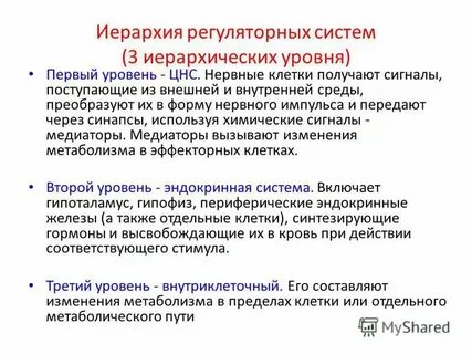 Последовательность соподчинения элементов нервной системы