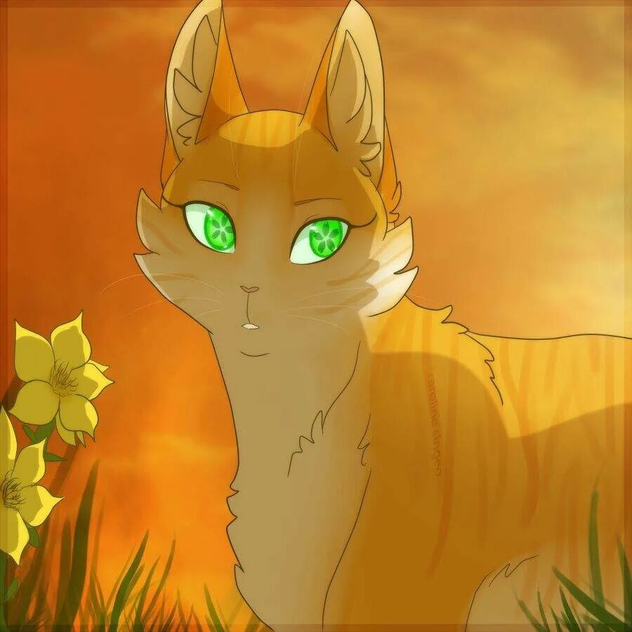 коты воители остролап. коты воители алозвёзд арт. коты воители звёздный цветок. коты воители чернохват. коты воители златошейка.