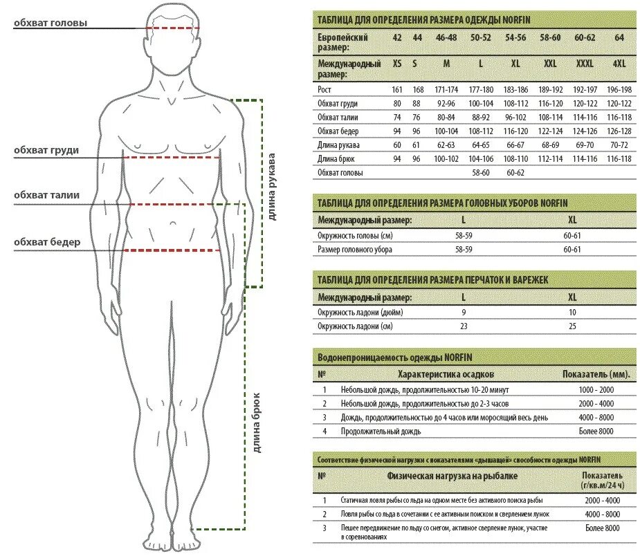 Термобелье Norfin Размерная сетка. Размерная сетка Norfin extreme 2. Размерная сетка термобелья норфин. Термобелье норфин Размеры. Стандартные мужские размеры