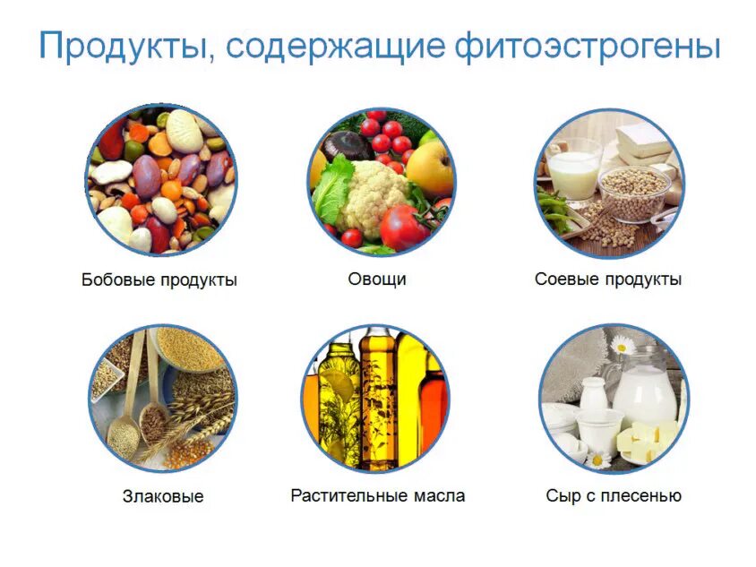 Чем можно нормализовать. Фитоэстрогены для женщин в продуктах питания и травах таблица. Продукты богатые фитоэстрогенами. Продукты содержащие фитоэстрогены. Продукты с фито эстрагеном.