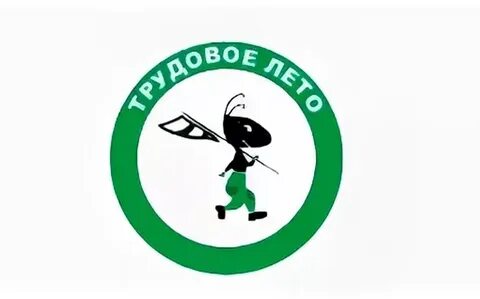 Трудовое лето 2024