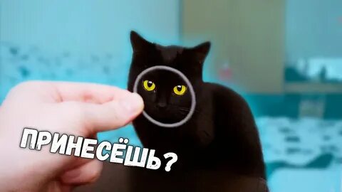 Саня влог