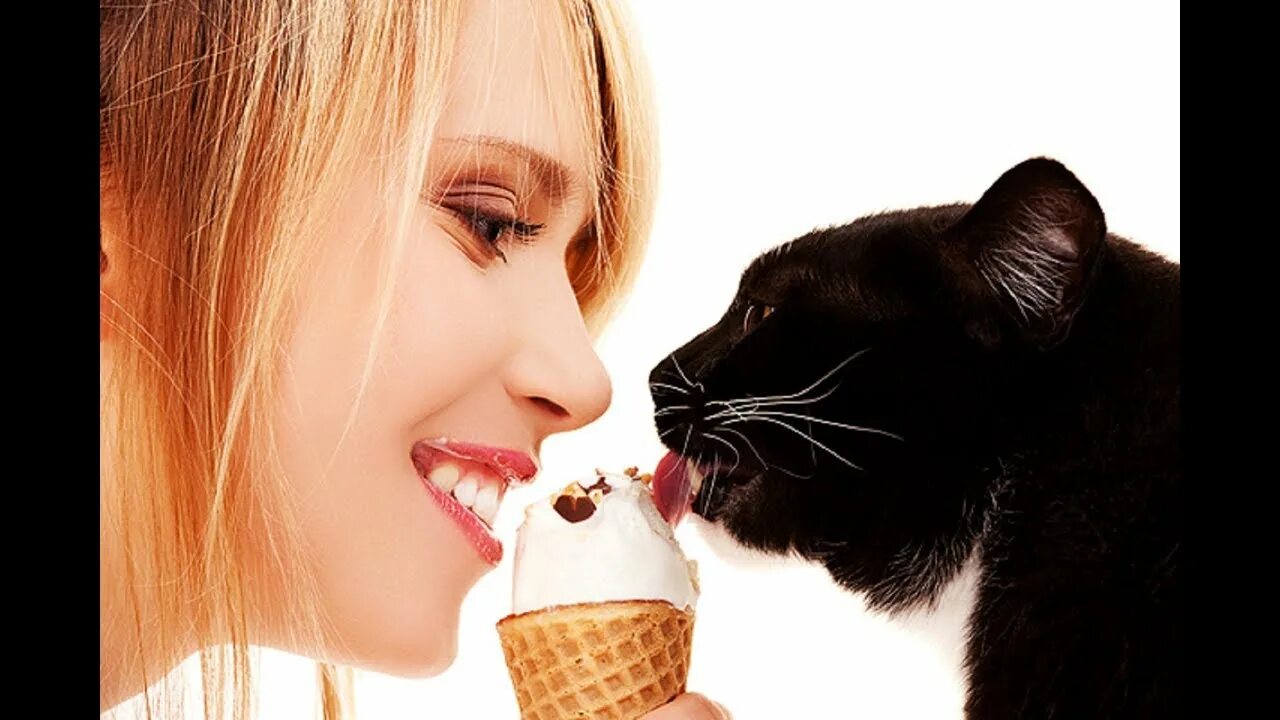 Move like a scalded cat. Girl eat cat. Girl eat cat. I ate a cat. Cat eats food.