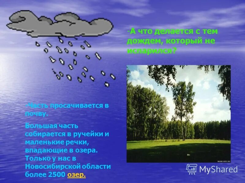 Мы как два ручейка впали в реку. Ручейки стекают в реку. Река текущая сквозь проект. Левый приток реки кама. Родник ручей в лесу.