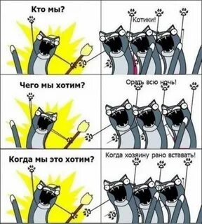 Приколы про том
