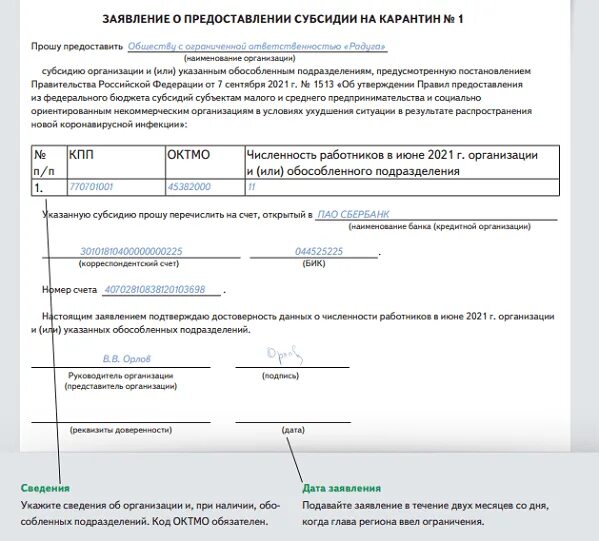 Учитывается ли субсидия в доходах