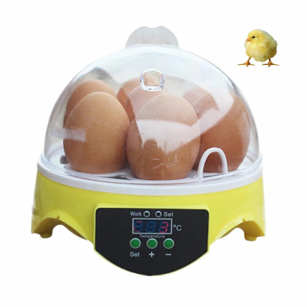 Инкубатор для яиц на 64 яиц Smart household small incubator. Мини инкубатор ег 196 яйца. Инкубатор Mini Egg incubator 9 яиц. Мини инкубатор для яиц автоматический ac220v/dc12v.