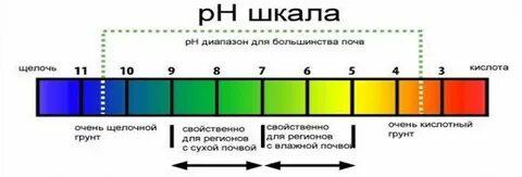 Рн 7 какая это