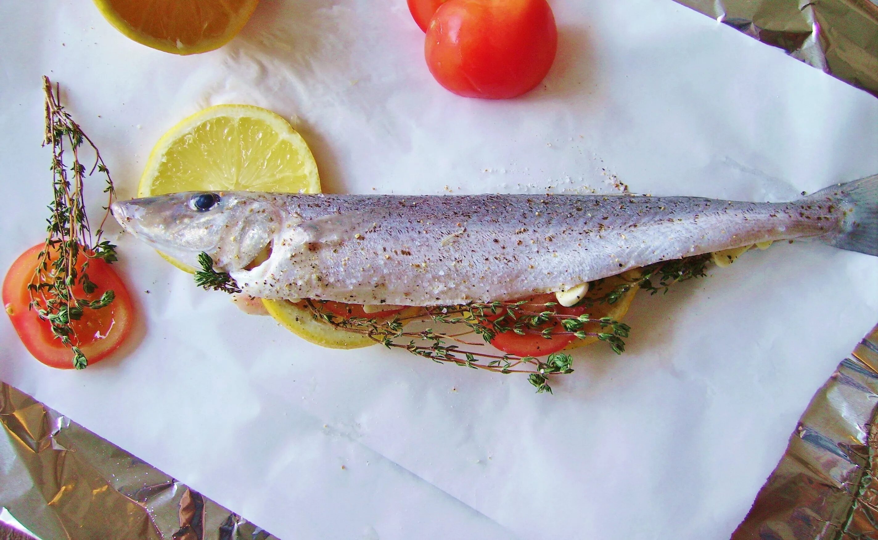 путассу. северная путассу. лазерсон путассу. путассу рыба рецепт приготовления. палтус и пангасиус.