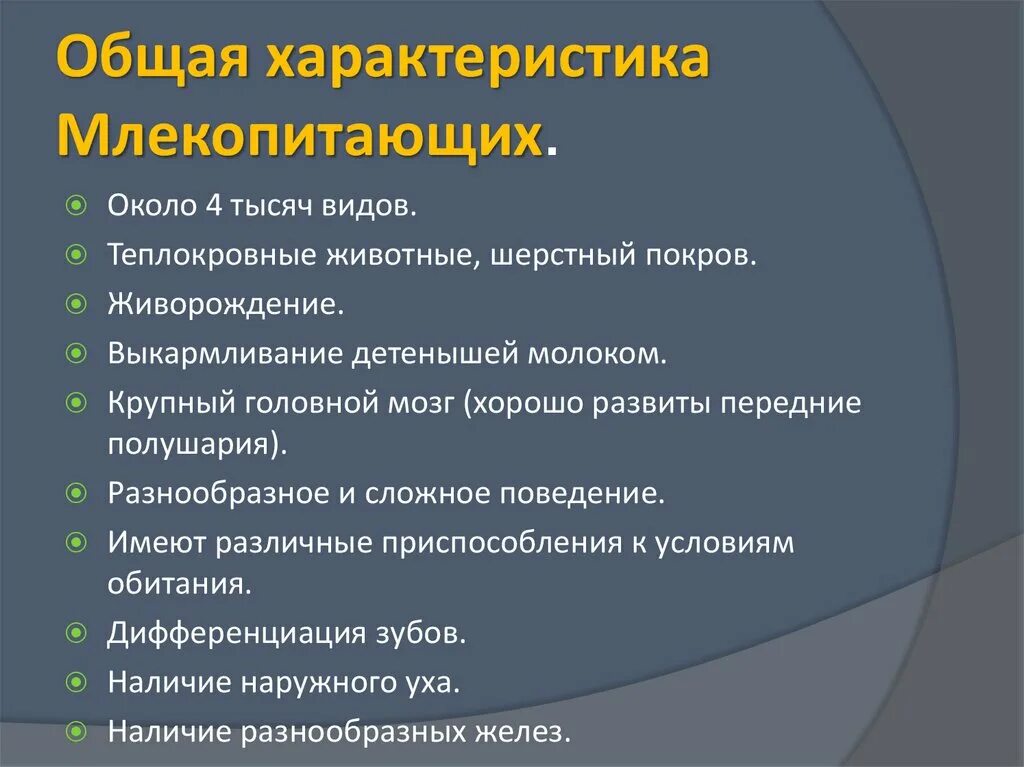 Общая характеристика млекопитающих. Общая характеристика млеко. Основная характеристика млекопитающих. Общая характеристика млекопитающих кратко. Характеристика млекопитающих 8 класс биология