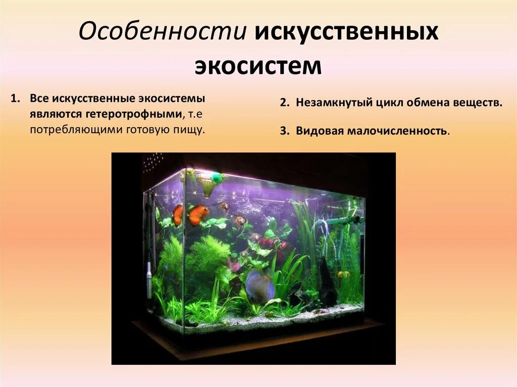 Обитатели аквариума 5 класс биология. Искусственные экосистемы. Искусттвннные экосистема. Особенности искусственных экосистем. Аквариум искусственная экосистема.
