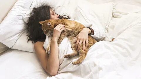 Tierärzte warnen: In Corona-Quarantäne besser nicht mit der Katze kuscheln.