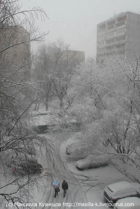снегопад в москве. снежная буря в москве. снежная буря в москве. снежная буря в москве. метель в москве.
