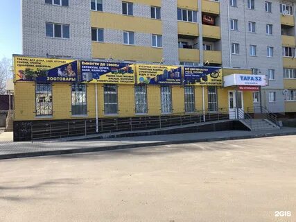 Брянск дешево