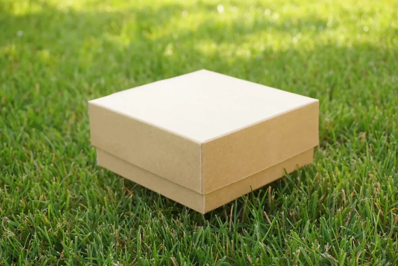 Коробка 80х80х80 крафт. Крафтовая коробка. Картонная коробка на траве. Картонная коробка с крышкой.