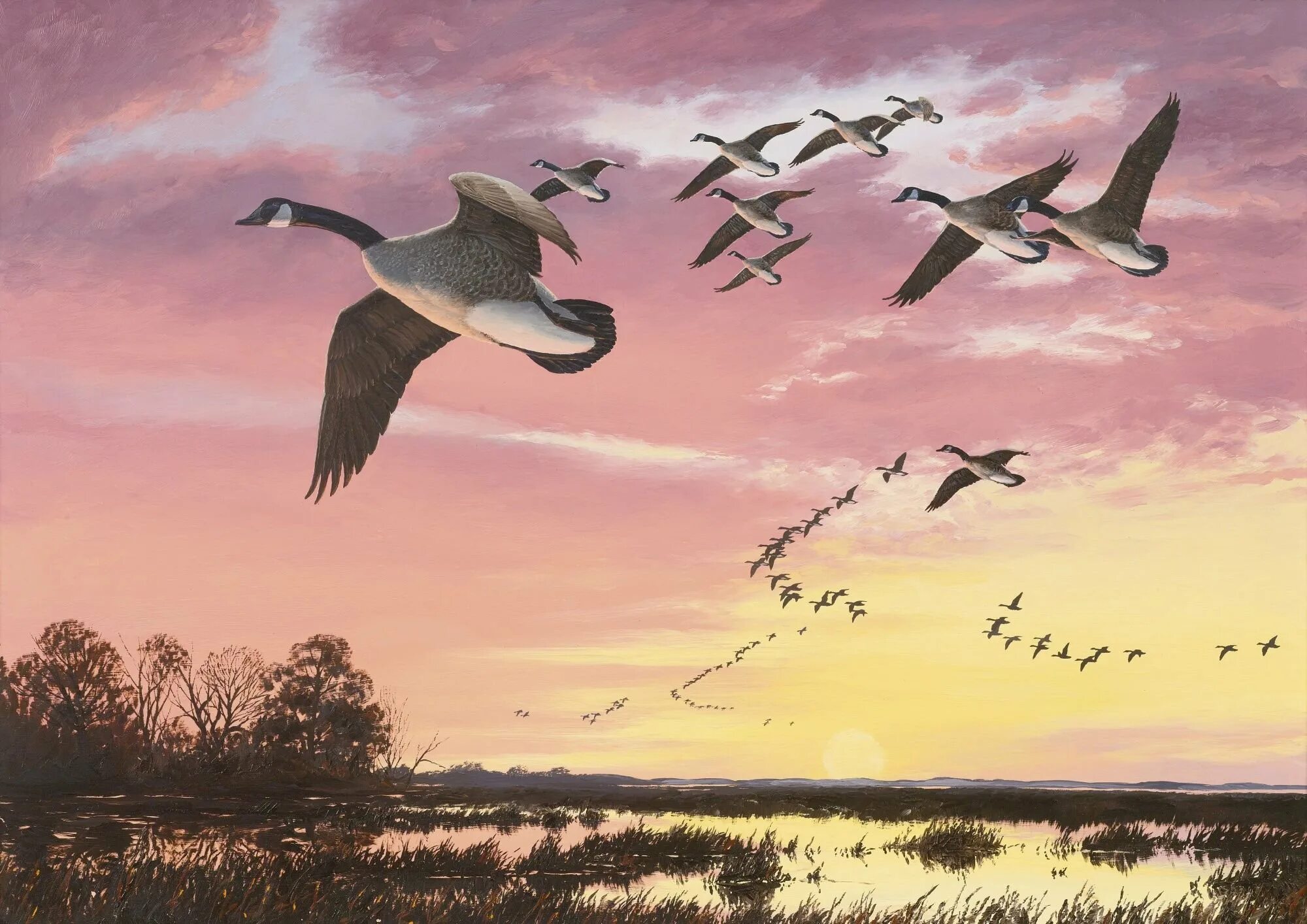 Перелетные птицы весной картинки для детей. David Maass картины. Художник David a. Maass. Птицы улетают. Картина птицы улетают.