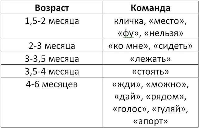 Кормление щенка шпица 3 месяца сколько раз. Сколько надо кормить 5 месячного щенка шпица. Таблица кормления шпица. Чем можно кормить щенка шпица в 2 месяца. Сколько надо кормить собаку