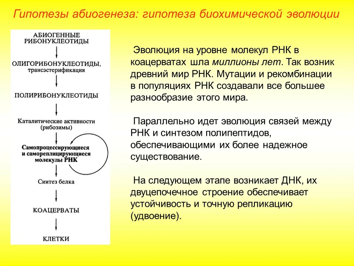 Последовательность этапов биохимической эволюции. Теории возникновения жизни биохимической эволюции. Теория абиогенеза этапы. Гипотезы абиогенеза гипотеза биохимической эволюции. Этапы возникновения жизни гипотеза биохимической эволюции.