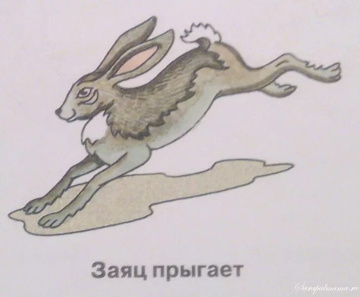 Прыгает как заяц прыгает по заячьи. Прыгает как заяц прыгает по заячьи. Заяц мультяшный. Прыгает как заяц прыгает по заячьи. Шаблон зайка в прыжке.