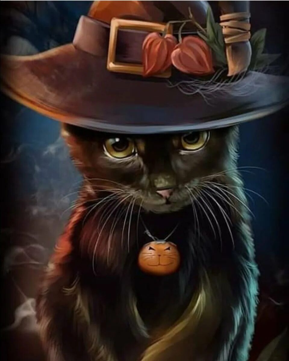 Ведьма и говорящий кот. Черный кот в шляпе. котенок в шляпе. фэнтези кошки. хэллоуин кот в шляпе.