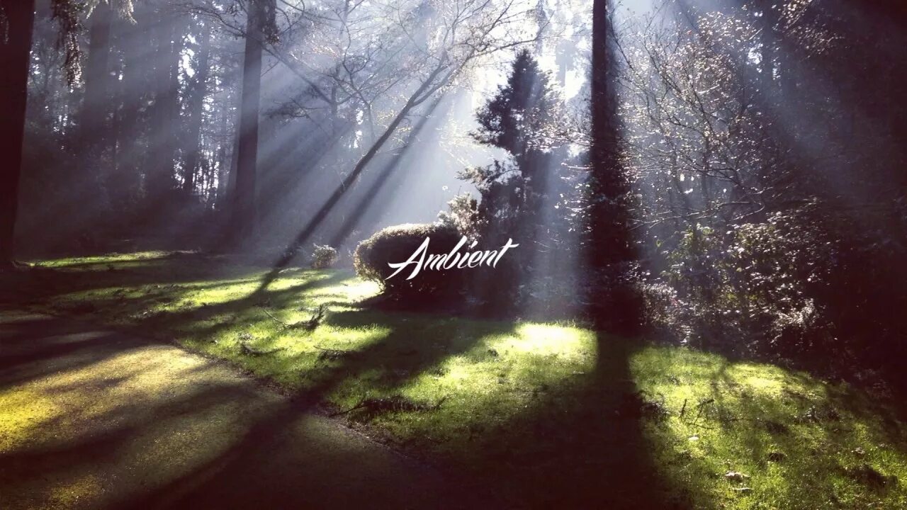 Эмбиент лучшее. Ambient картинки. жанр эмбиент. фон эмбиент. красивые картинки ambient.