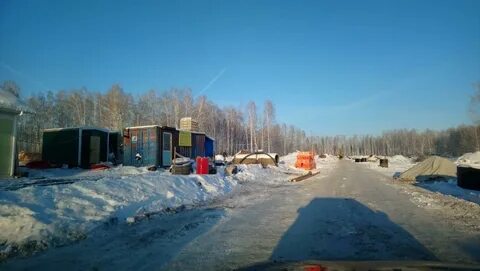 Тулун березовая роща