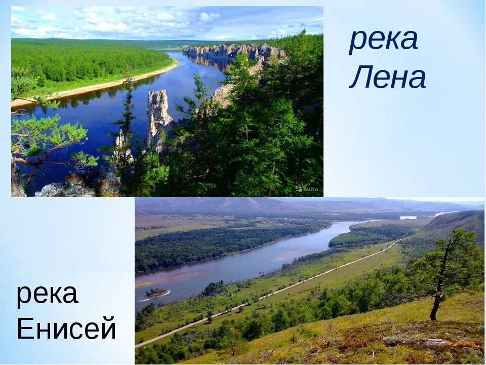 Чем шире становился енисей тем положе. Реки России Енисей. Лена и Енисей. Река Лена. Енисей река и Лена река.