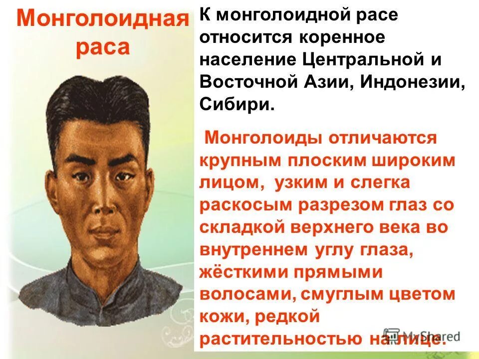 Монголоидная раса презентация. Монголоидная раса азиатская ветвь. Ареал монголоидной расы. Монголоидная раса. Монгол раса.