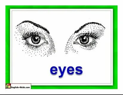 Английские слова eyes