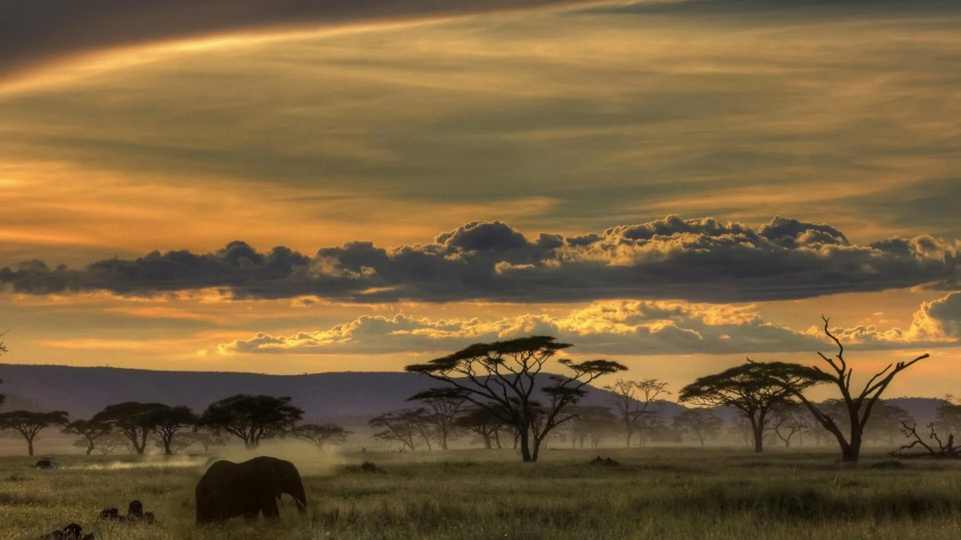 See africa. Танзания сафари пейзаж. Танзания сафари закат. Саванна сафари. Серенгети Танзания ночь.