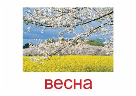 Назови весенний