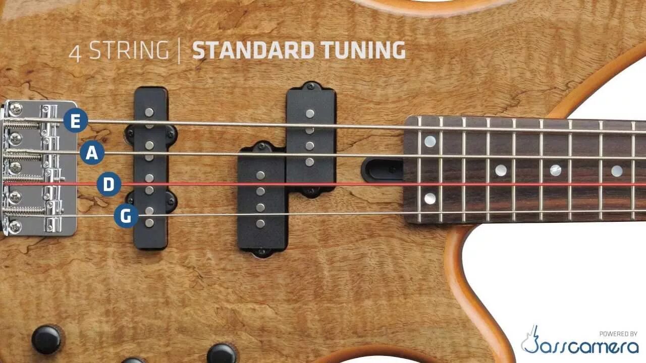 Настройка бас гитары. Басс Строй 5 String. Standard Tuning гитара. Standard Bass Tune 4 String. Standart Tune Guitar.