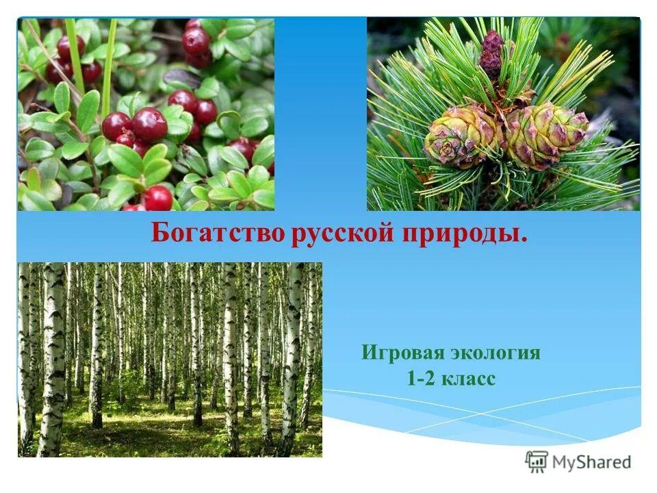 Богатство природы 3 класс. Богатства природы. Богатства Российской природы. Природа наше богатство. Богатство русской природы.